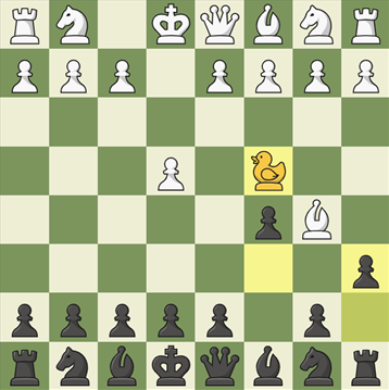 Špeciálne typy šachu II