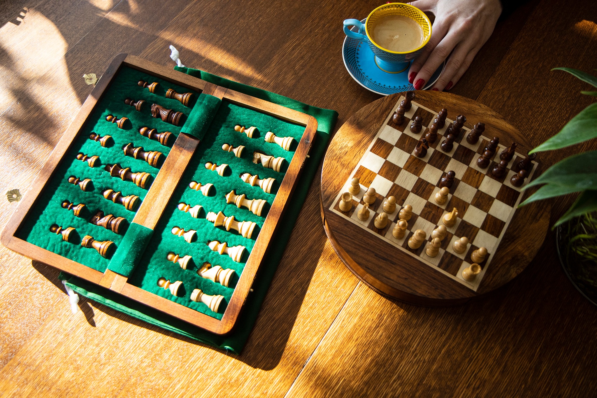 545563406_1320559966747727_8321917744435012853_n