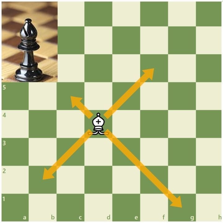 Bishop-Piece-Move-In-Chess