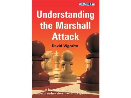7776 Understanding the Marshall Attack Big