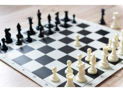 6153 sachova suprava velka