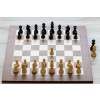 3839 8 delux eben sachova suprava judit polgar