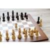 3839 9 delux eben sachova suprava judit polgar