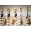 4891 3 sachova suprava briar orient