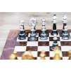 5824 6 sachova suprava briar brest fantasy