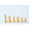 Šachové figúrky Staunton M  + doprava zdarma