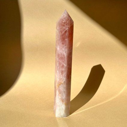 batch IMG 3521 Photoroom