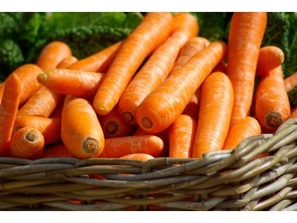carrots 673184 1920