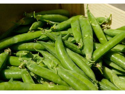 vegetables g658763317 1920