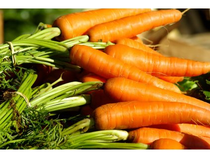 vegetables g4cfd0efd9 1920