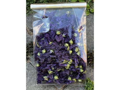 Sléz maurský, sušený květ, BI0