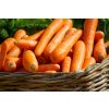 carrots 673184 1920