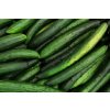 cucumber 5318945 1920