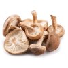 shiitake