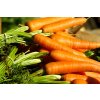 vegetables g4cfd0efd9 1920