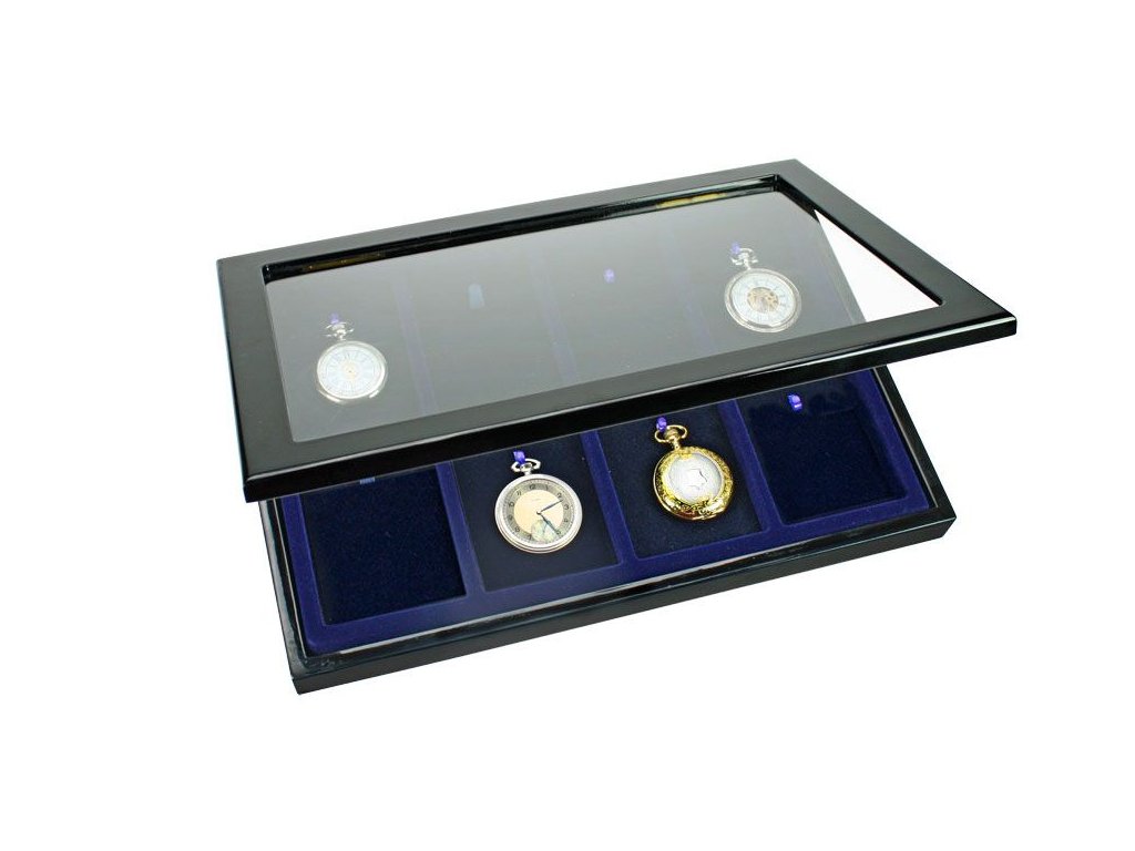display safe