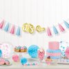 gender reveal party girlanda kluk nebo holka