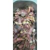 Biltong Worcester