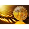 bitcoin sberatelska mince 41400930