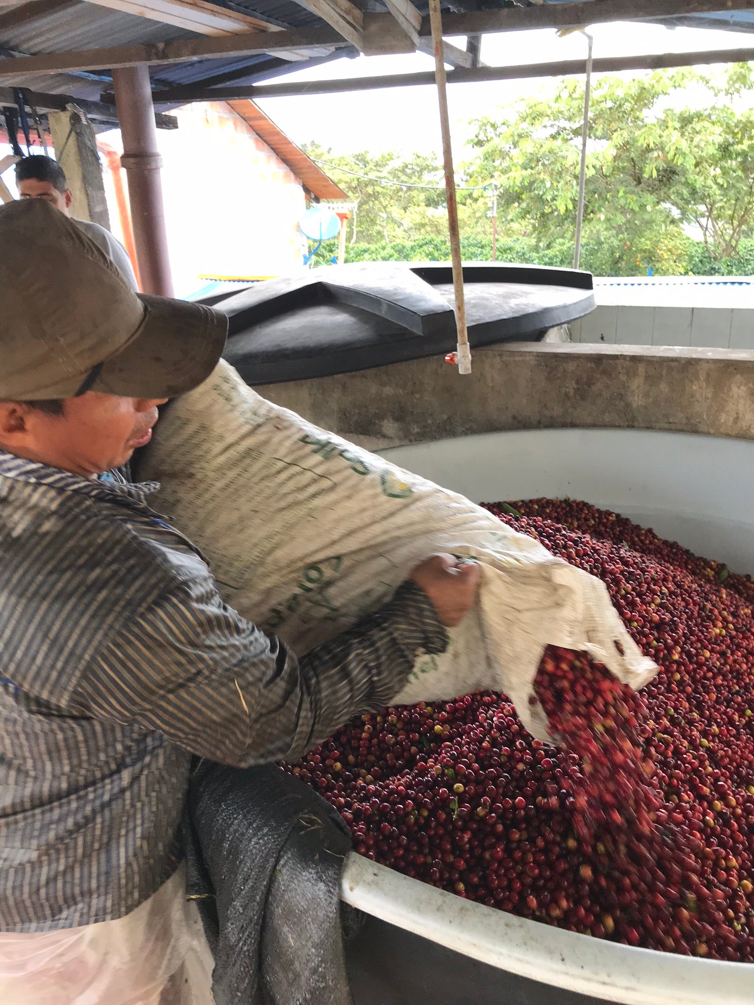 Huila_0958