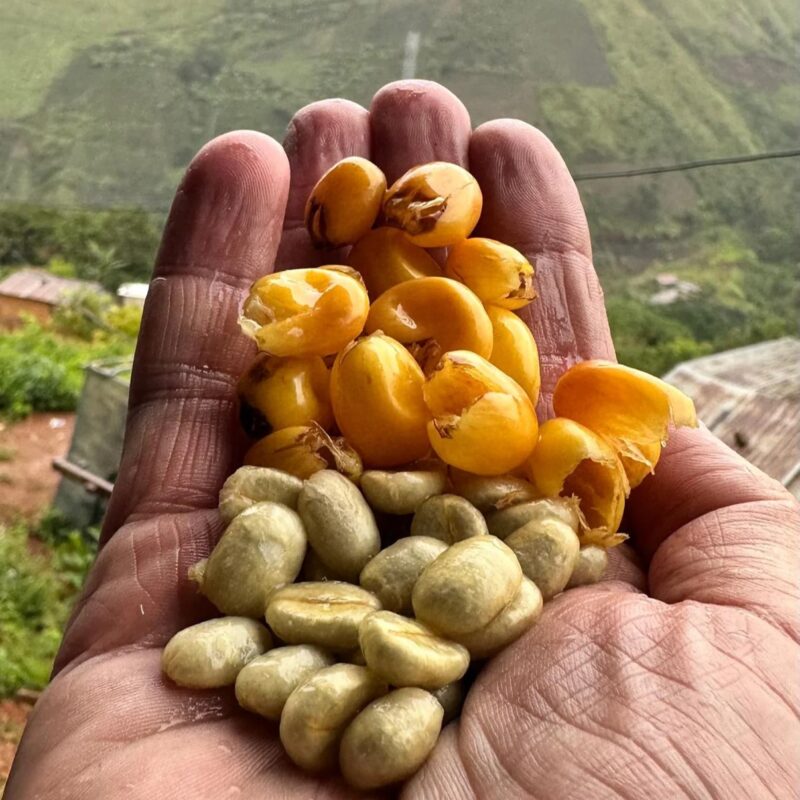 Venezuela-Santa-Cruz-de-Mora-2-800x800