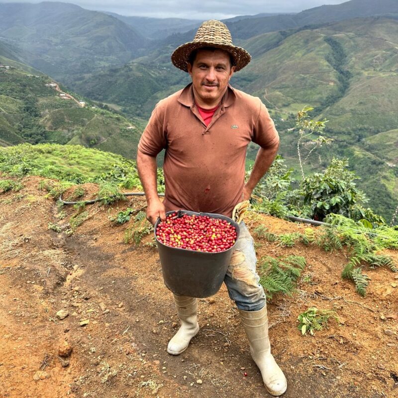 venezuela-2-800x800