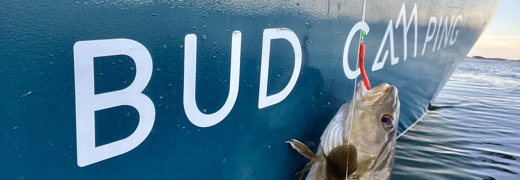 Bud Camping