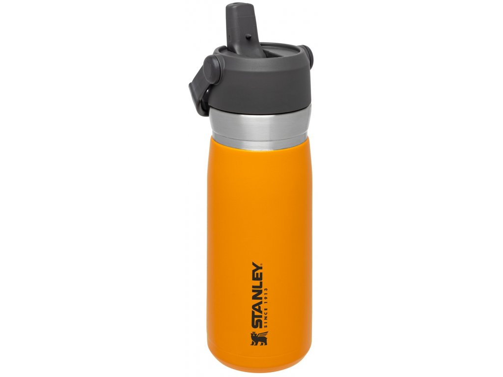 Stanley Go IceFlow Water Bottle with Straw 22oz/.65L Lagoon (10-09697-009)