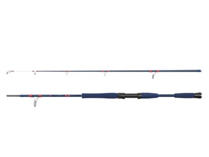 Delphin FYORD BigBOAT 200cm 300-400g