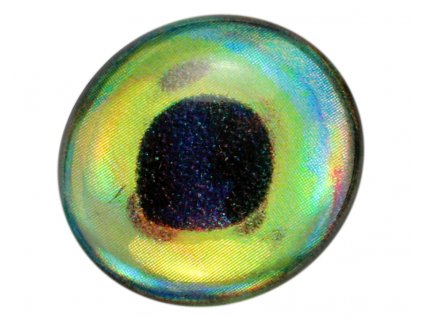 3D Epoxy Fish Eyes - Holographic Dorado