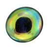 3D Epoxy Fish Eyes - Holographic Dorado