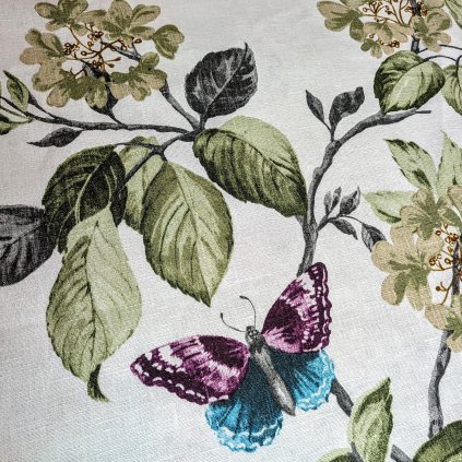 PXL 20260210 095130346