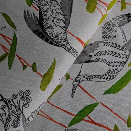 PXL 20260224 072430391 (1)