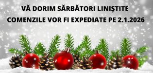 Condiții de livrare – Crăciun 2025