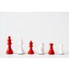 8679 drevene figurky staunton red white