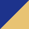 navy / gold