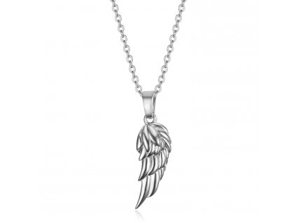 wingssilver
