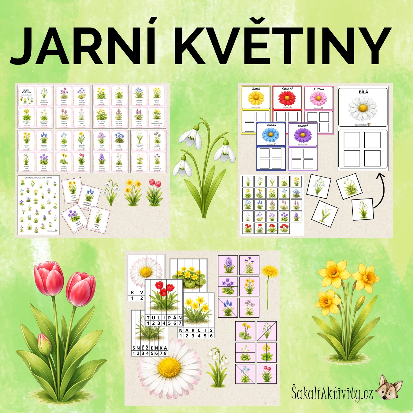 Jaro s Šakalíkem 🌿