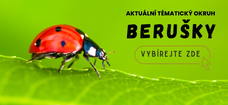 Berušky