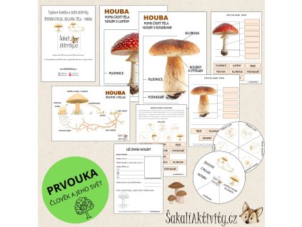 HOUBY - výukové kolečko, životní cyklus, popis částí