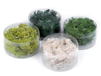 Stabilizovaný / preparovaný mech 20 g v krabičce (Varianta 1 bílá přírodní, Balení 1 ks)