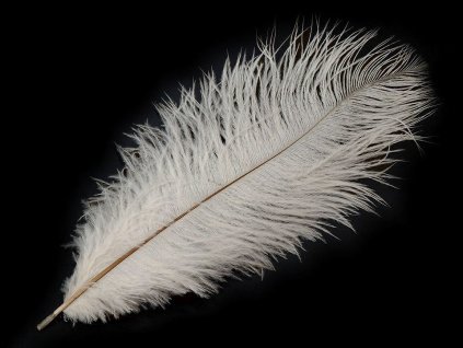 Pštrosí peří délka cca 20-25 cm (Varianta 2 černá, Balení 2 ks)