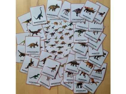 Výprodej - Dinosauři - demonstrační karty - TISK A LAMINACE