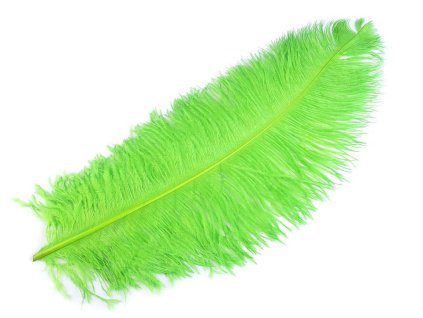 Pštrosí peří délka 60 cm (Varianta 9 bílá, Balení 1 ks)