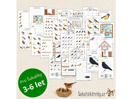 Sada aktivit - PTÁCI