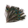 Paví peří délka 25-30 cm (Varianta paví přírodní, Balení 10 ks)