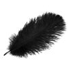 Pštrosí peří délka cca 20-25 cm (Varianta 2 černá, Balení 2 ks)