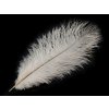 Pštrosí peří délka cca 20-25 cm (Varianta 1 bílá, Balení 2 ks)