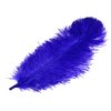Pštrosí peří délka 60 cm (Varianta 9 bílá, Balení 1 ks)