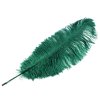 Pštrosí peří délka 60 cm (Varianta 9 bílá, Balení 1 ks)